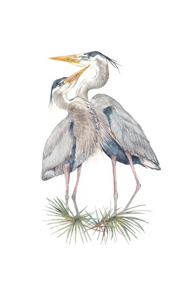 Wandering Laur: Watercolor Herons by Wandering Laur