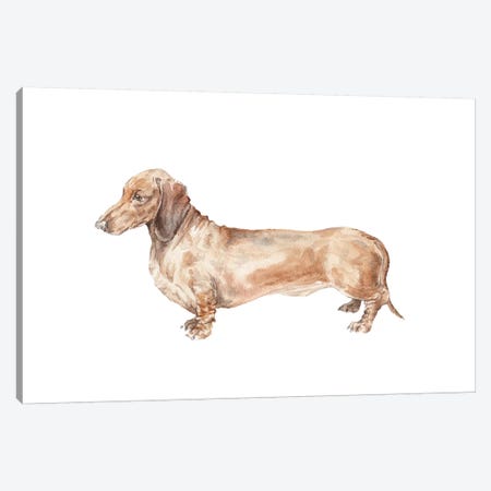 Brown Dachshund Hot Dog Canvas Print #RGF15} by Wandering Laur Canvas Artwork