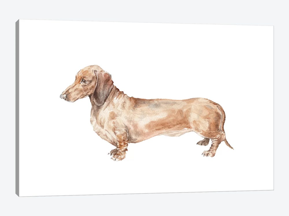 Brown Dachshund Hot Dog by Wandering Laur 1-piece Canvas Art Print