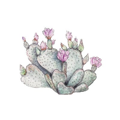 Watercolor Prickly Pear by Wandering Laur framed wall art