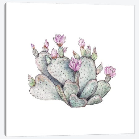 Watercolor Prickly Pear Canvas Print #RGF161} by Wandering Laur Canvas Art