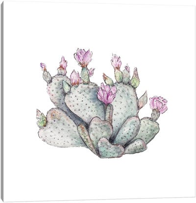 Watercolor Prickly Pear Canvas Art Print - Wandering Laur