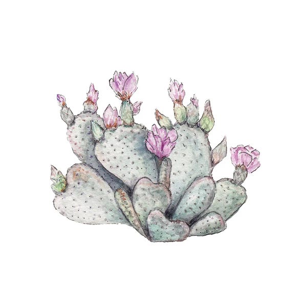 Wandering Laur: Watercolor Prickly Pear by Wandering Laur