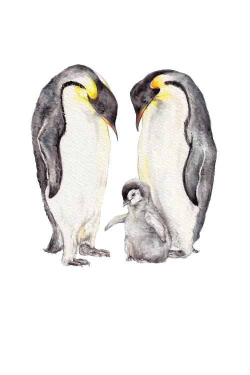 Watercolor Penguin Family by Wandering Laur wall art