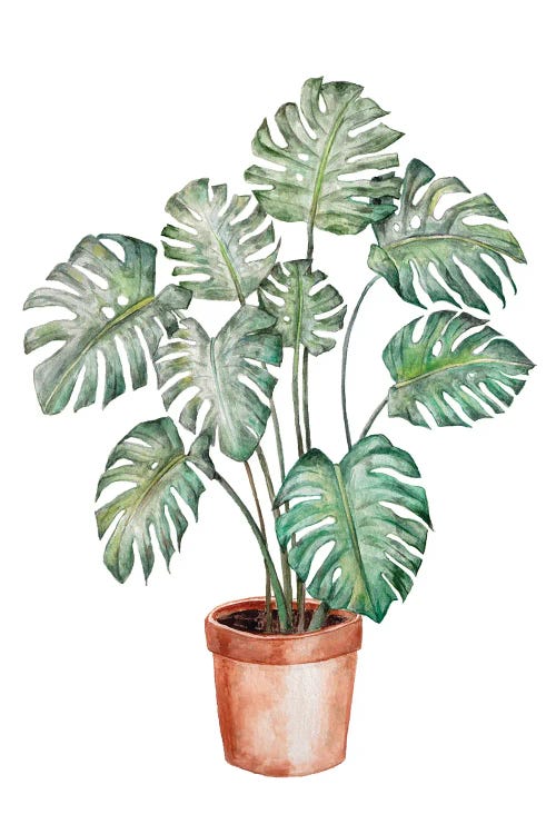 Watercolor Monstera Plant