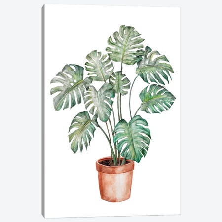 Watercolor Monstera Plant Canvas Print #RGF164} by Wandering Laur Art Print