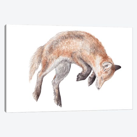 Watercolor Jumping Fox Canvas Print #RGF165} by Wandering Laur Canvas Print