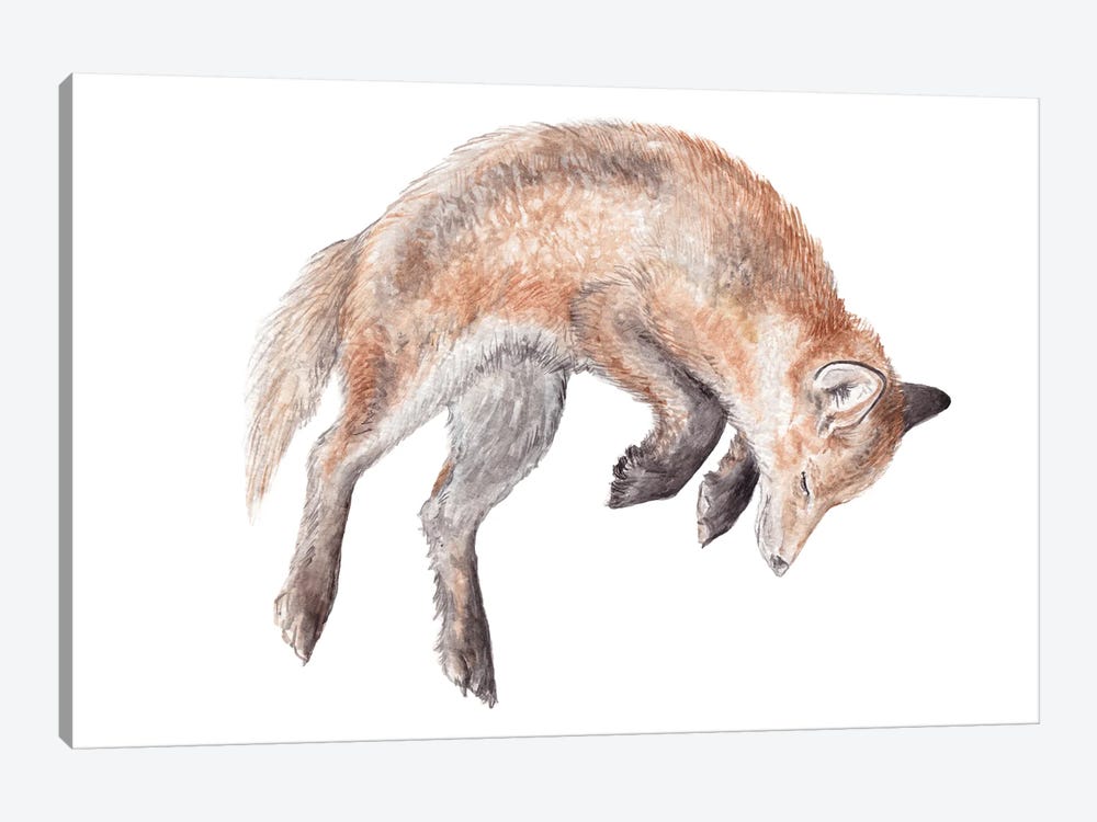 Watercolor Jumping Fox by Wandering Laur 1-piece Canvas Wall Art
