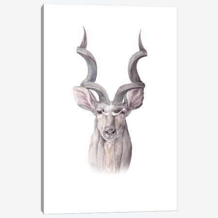 Watercolor Kudu Canvas Print #RGF166} by Wandering Laur Canvas Art Print