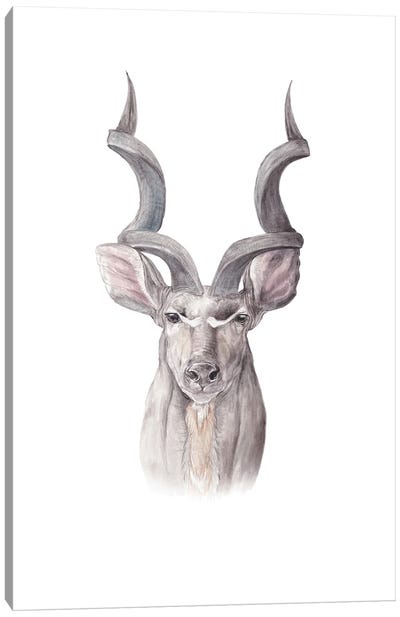 Watercolor Kudu Canvas Art Print - Antelope Art