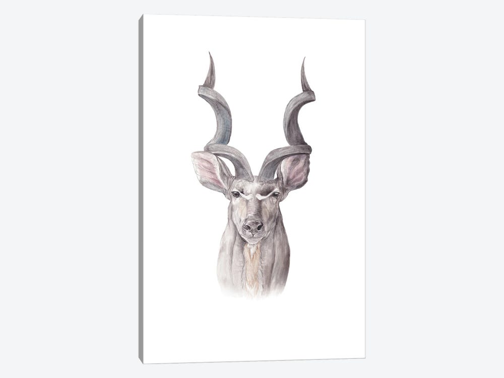 Watercolor Kudu by Wandering Laur 1-piece Art Print