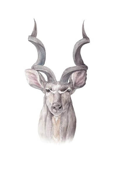 Antelopes: Watercolor Kudu by Wandering Laur