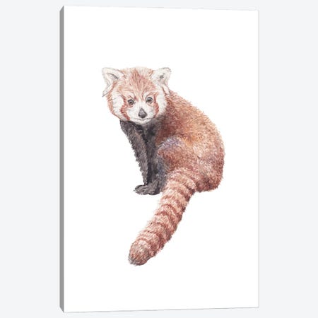 Watercolor Red Panda Canvas Print #RGF167} by Wandering Laur Canvas Art Print