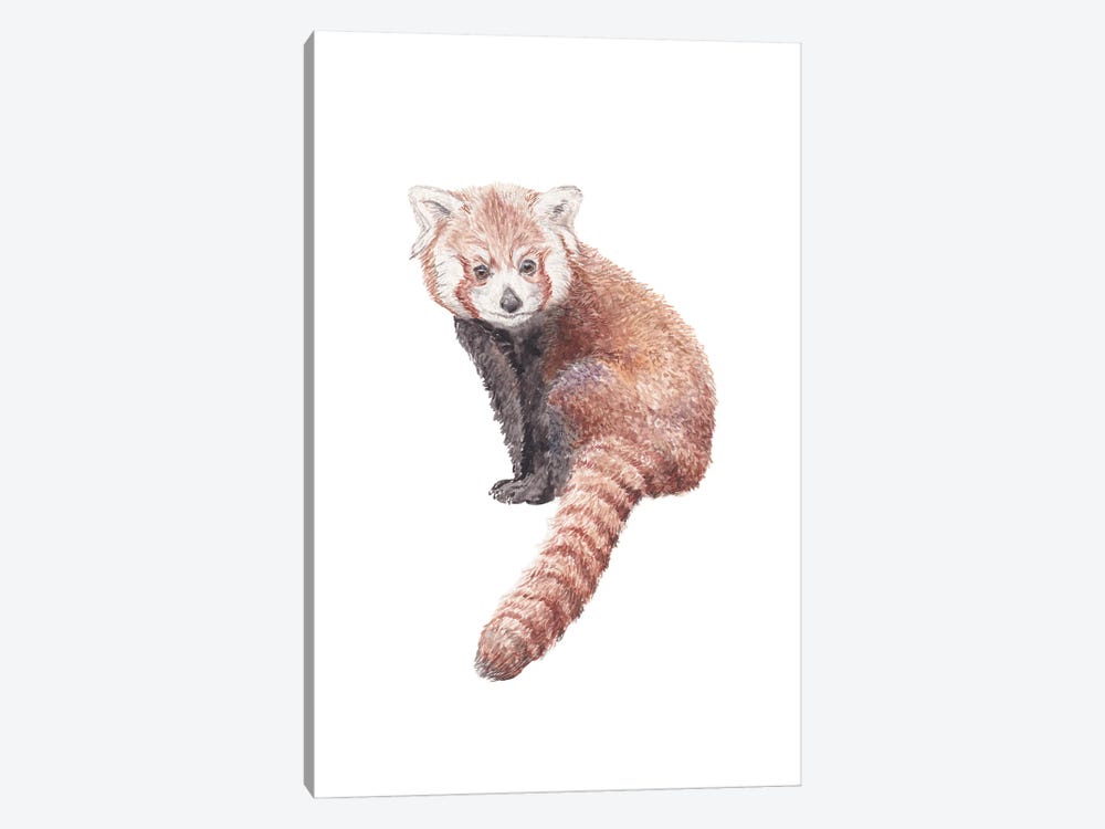 Watercolor Red Panda by Wandering Laur 1-piece Canvas Wall Art