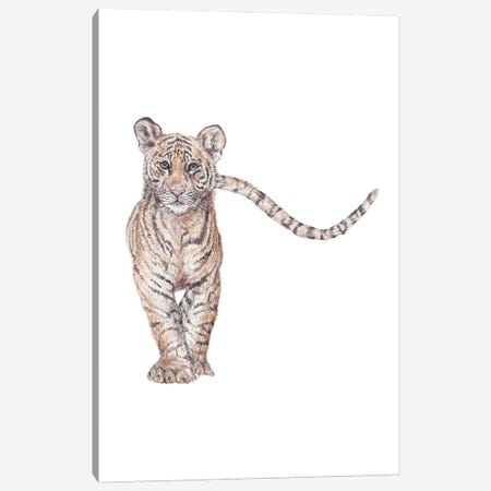 Watercolor Approaching Tiger Canvas Print #RGF168} by Wandering Laur Canvas Art