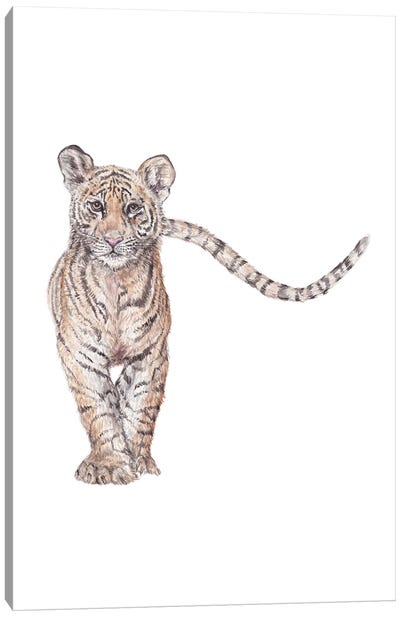 Watercolor Approaching Tiger Canvas Art Print - Wandering Laur