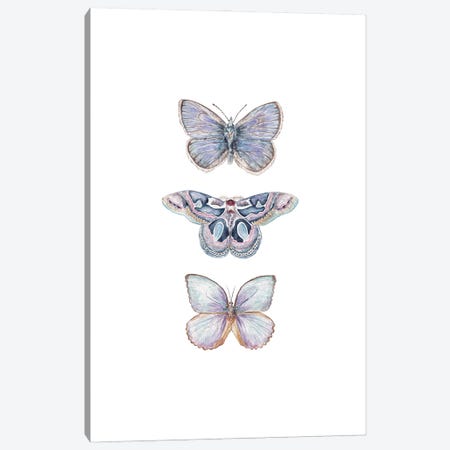 Watercolor Xerxes Butterflies Canvas Print #RGF169} by Wandering Laur Canvas Art