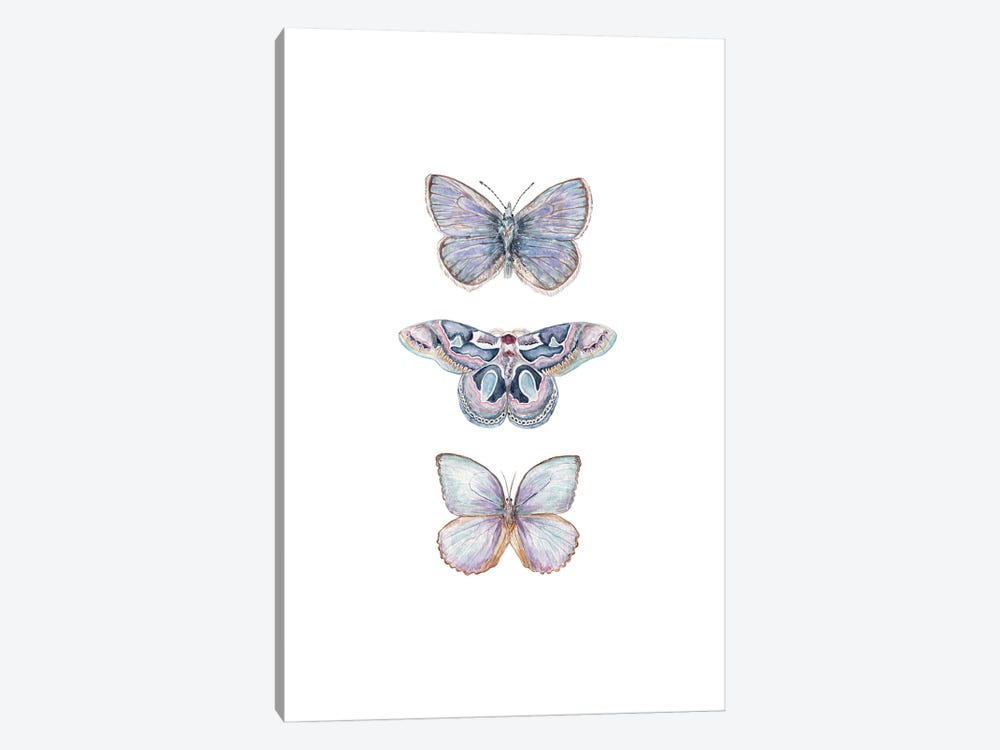 Watercolor Xerxes Butterflies by Wandering Laur 1-piece Canvas Art