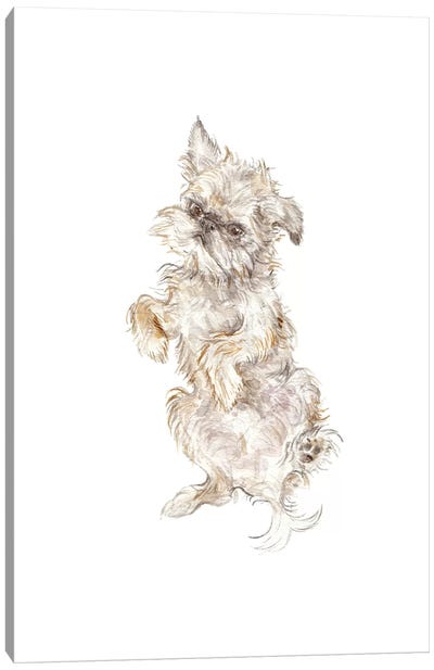 Brussels Griffon Canvas Art Print - Puppy Art