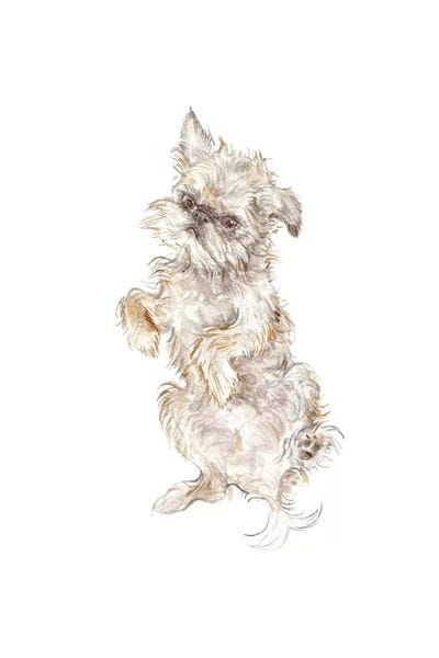 Puppies: Brussels Griffon by Wandering Laur