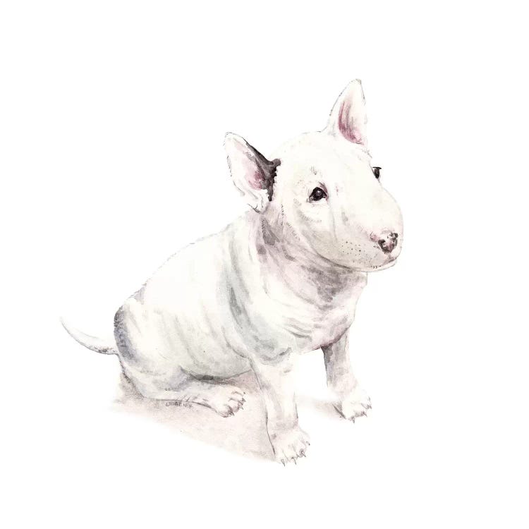 Bull Terrier