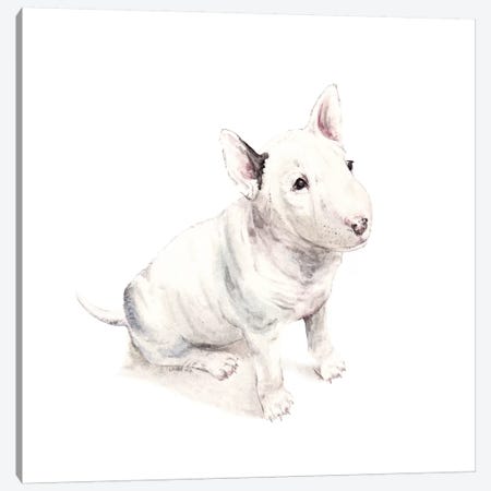 Bull Terrier Canvas Print #RGF17} by Wandering Laur Canvas Art