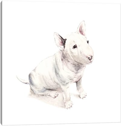 Bull Terrier Canvas Art Print