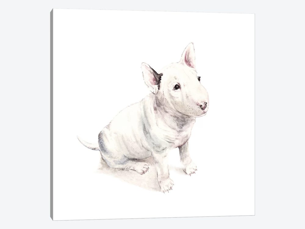 Bull Terrier by Wandering Laur 1-piece Art Print