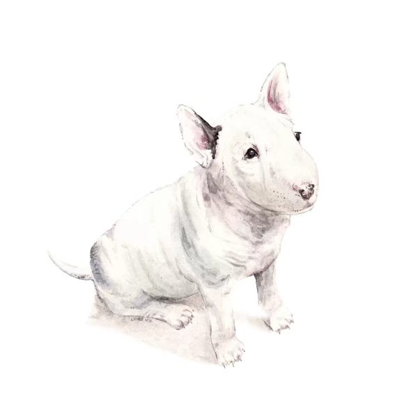 Bull Terriers: Bull Terrier by Wandering Laur