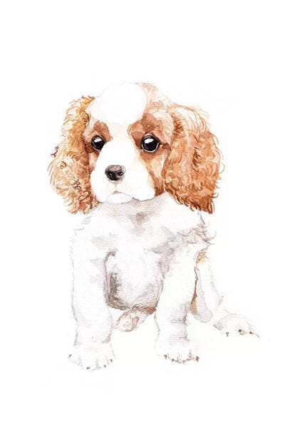Cavalier King Charles Spaniels: Cavalier King Charles Spaniel by Wandering Laur