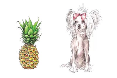 Chinese Crested And Pineapple With The Same Haircut by Wandering Laur art print