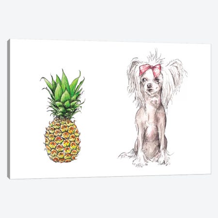 Chinese Crested And Pineapple With The Same Haircut Canvas Print #RGF21} by Wandering Laur Canvas Art