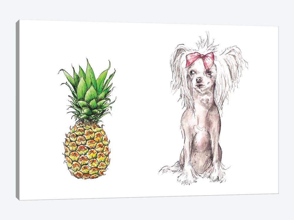 Chinese Crested And Pineapple With The Same Haircut by Wandering Laur 1-piece Canvas Art