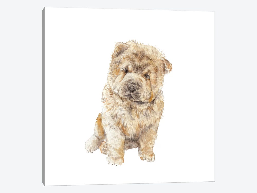 Chow Chow by Wandering Laur 1-piece Canvas Art Print