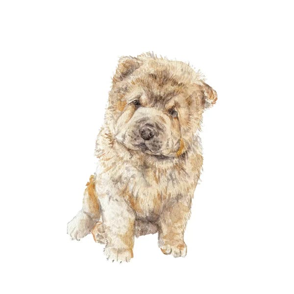 Chinese Crested: Chow Chow by Wandering Laur