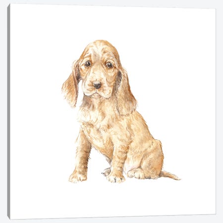 Cocker Spaniel Puppy Canvas Print #RGF24} by Wandering Laur Art Print