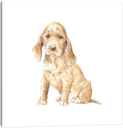 Cocker Spaniel Puppy Canvas Art Print - Spaniels