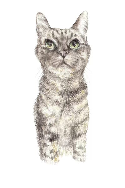 Concentrating Tabby by Wandering Laur art print