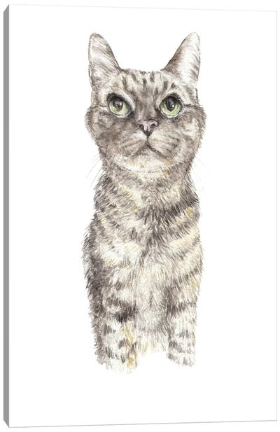 Concentrating Tabby Canvas Art Print - Tabby Cat Art