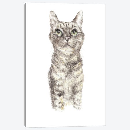 Concentrating Tabby Canvas Print #RGF26} by Wandering Laur Canvas Print
