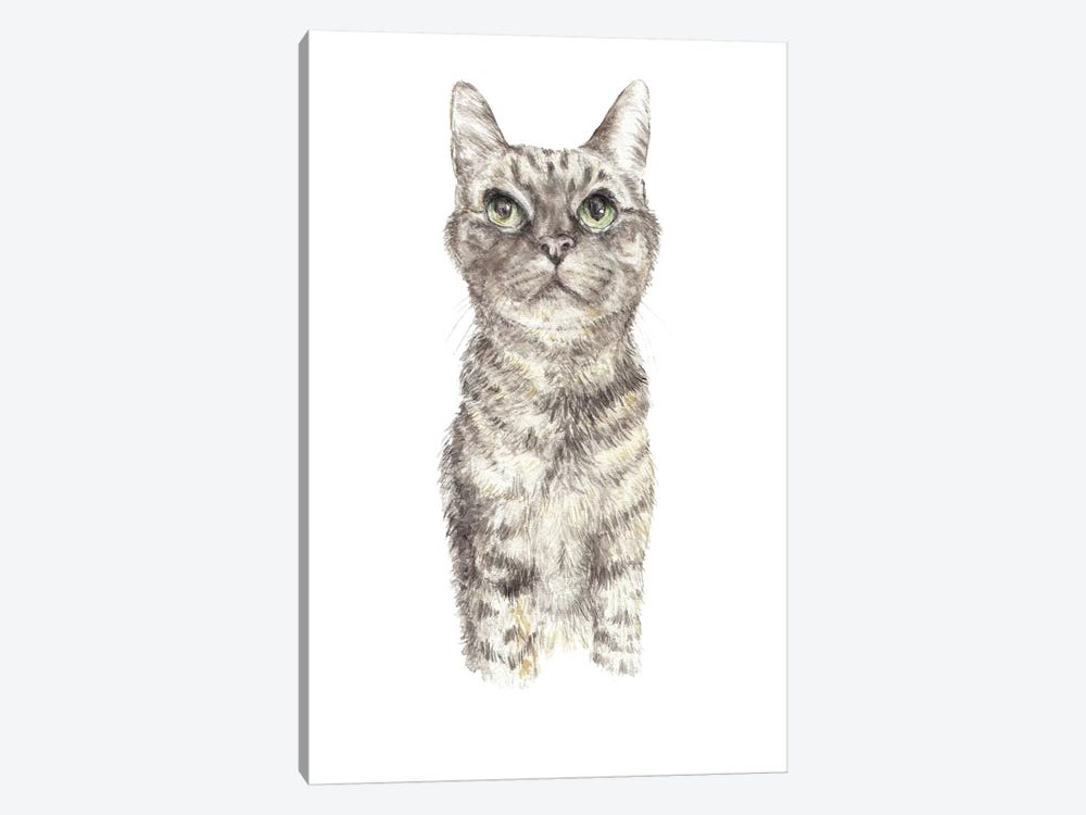 Concentrating Tabby by Wandering Laur 1-piece Canvas Print