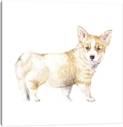 Corgi Puppy Canvas Art Print - Art for Mom