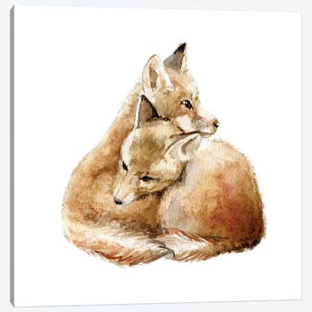Cuddling Foxes Canvas Print #RGF28} by Wandering Laur Canvas Art