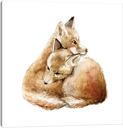 Cuddling Foxes Canvas Art Print - Home for the Holidays