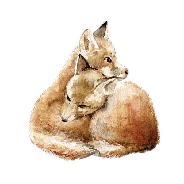 Foxes: Cuddling Foxes by Wandering Laur