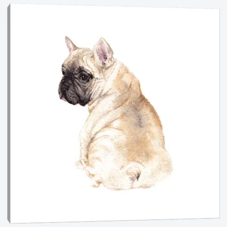 Frenchie Canvas Print #RGF32} by Wandering Laur Canvas Print