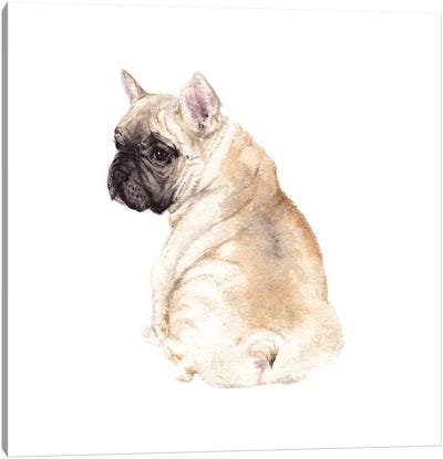Frenchie Canvas Art Print - Puppy Art