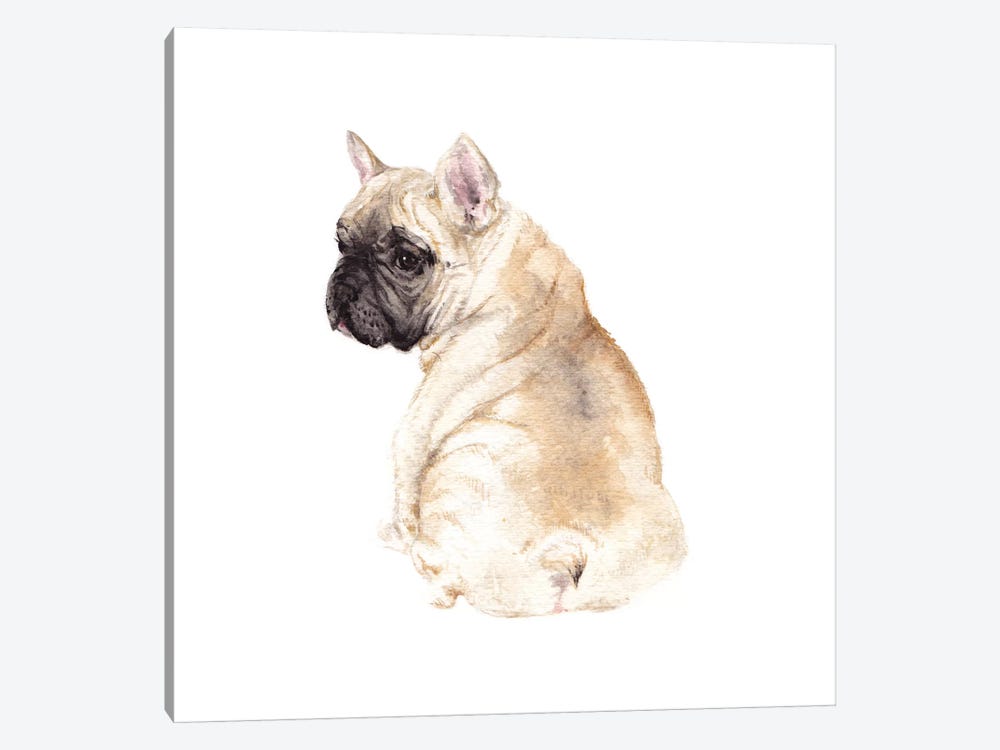 Frenchie by Wandering Laur 1-piece Canvas Artwork