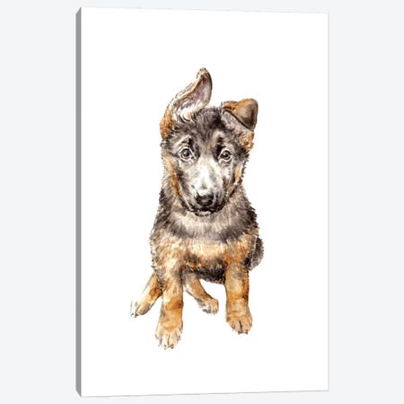German Shepherd Puppy Canvas Print #RGF35} by Wandering Laur Canvas Artwork