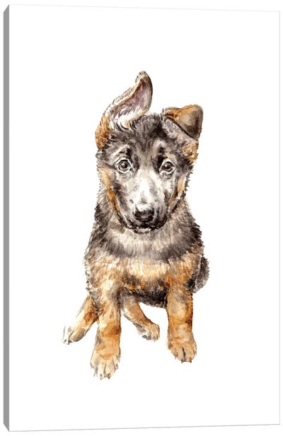 German Shepherd Puppy Canvas Art Print - Puppy Art